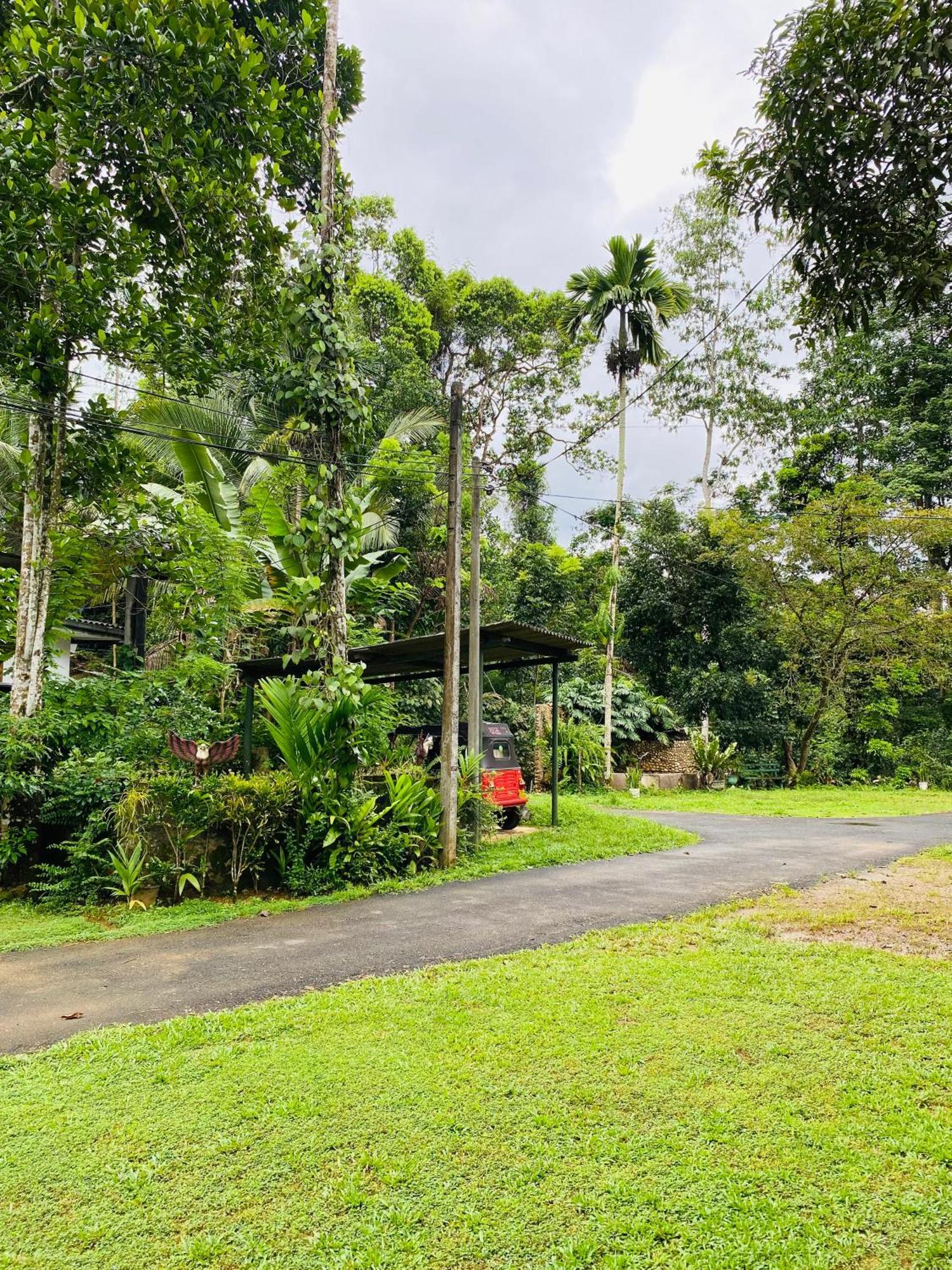 Summer Ridge - Homestay Ratnapura Luaran gambar